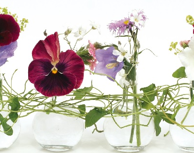 Inspirace pro aranžování květin ze zahrady…