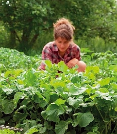 Na co nesmíme v červnu zapomenout?