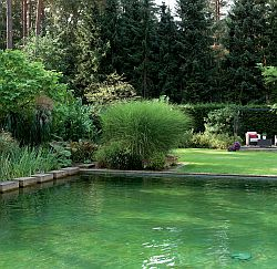 Bakterie do jezírka – zázračný přípravek a nebo přechválená zbytečnost?