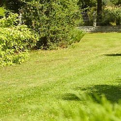 Pokud chcete mít v příštím roce na zahradě nový trávník, máte na jeho založení už jenom 14 dnů!