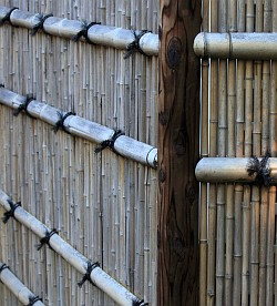 Jak správně ošetřovat ploty z bambusu, popř. i jiné stavby z tohoto přírodního materiálu?