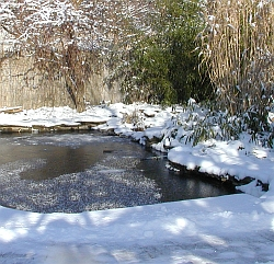 Už máte zazimované jezírko s japonskými kapry Koi? Pokud ne poradíme vám jak na to!