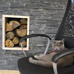 Hledáte netradiční materiál pro dům a nebo zahradu? Odhalte krásu přírodního kamene!