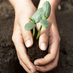 Lednové výsevy jsou tu, vyvarujte se nejčastějších chyb!