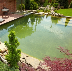 Je dešťová voda vhodná pro naše zahradní jezírko?