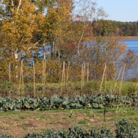 Připravte se na podzimní hnojení, je stejně důležité jako to na začátku vegetace!
