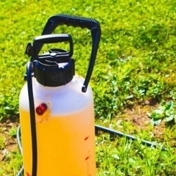 Ochrana rostlin v září a říjnu