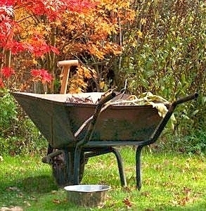 Co dělat na zahrádce v říjnu?