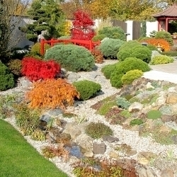 Podzim je ideální doba na založení skalky, na jaře krásně pokvete!