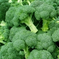 Máte rádi brokolici? Přinášíme tip na sobotní oběd…