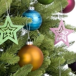 Jak vybrat a správně se postarat o vánoční stromeček