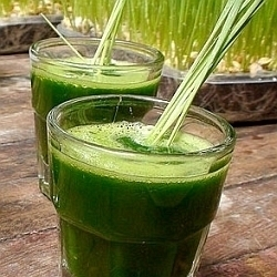 Očista organizmu po zimě pomocí tradiční zeleniny a ovoce