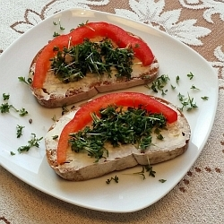 Vysejte si řeřichu, zimní zdroj důležitých vitamínů!