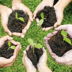 Substráty z Rašeliny pro hobby i profesionální sféru…