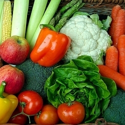 Vegetační kalendář nejdůležitějších druhů zeleniny, aneb jak neprošvihnout agrotechnické termíny!