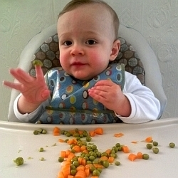 Zítra je mezinárodní den mrkve – superpotravina a nebo jen obyčejná zelenina?