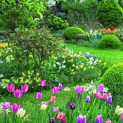 Květnová soutěž o zajímavé ceny do zahrady