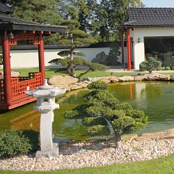 Podle jakých parametrů vybírat UV-C zářič a lampu?