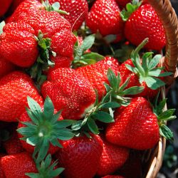 Kvůli dešti nemůžeme na zahrádku, pojďme si tedy uvařit něco dobrého…