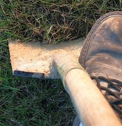 Nemáte ještě zryté záhony? Pak neotálejte a nezapomeňte pohnojit! Poradíme vám čím…