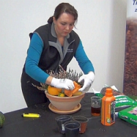 Výsadba podzimní misky se vřesy, která vydrží celou zimu (video)
