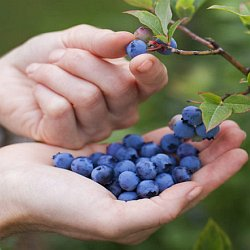 Dubnová soutěž se spoustou cen!