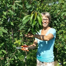 Na co se můžete těšit v srpnu a počátkem září?
