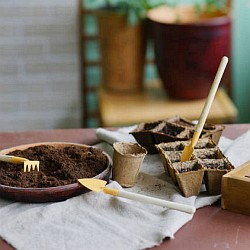 Nová pěstitelská sezona klepe na dveře, je čas se připravit na letošní výsevy!