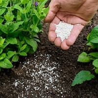 Substráty, hnojiva a podpůrné přípravky na pěstování rostlin