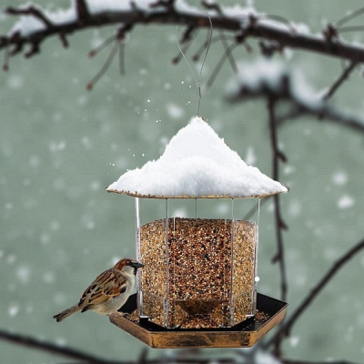 Krmítka pro ptáky v zahradě a co do nich dát…