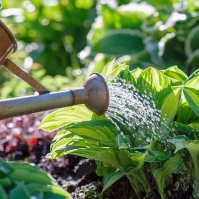 Jak správně hospodařit s vodou v zahradě s hostem Jiřím Savincem, podcast