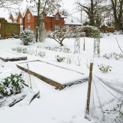 Co dělat v lednu na zahradě a co opravdu raději nedělat, podcast