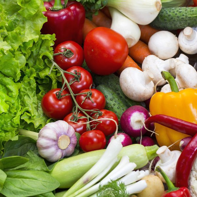 Substráty je nutné hnojit!