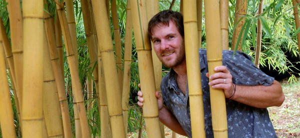 bambus kocourek